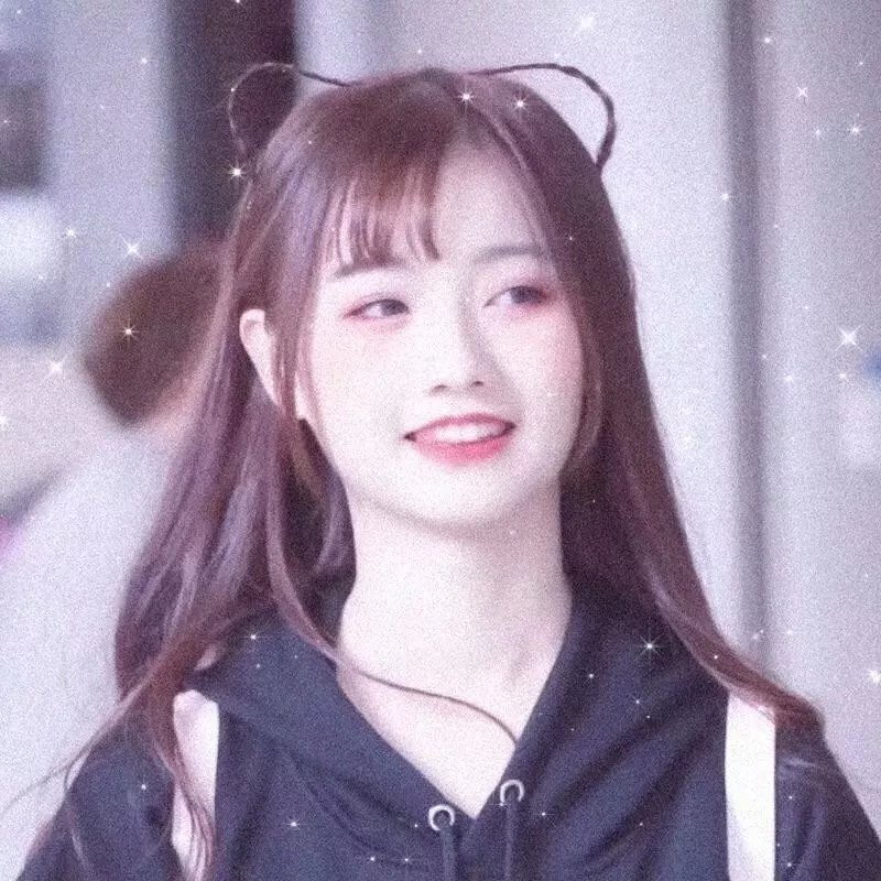 明星陈善圭
